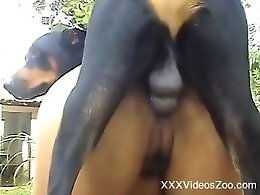 Zooporn Video