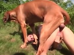 Girls animal sex