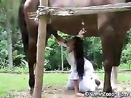 Zooporn Video