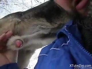 Man sucks and fucks with animals in the snow