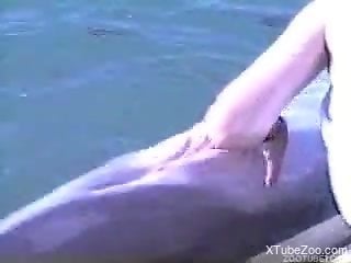 Guy fist fucks the dolphin in insane manners