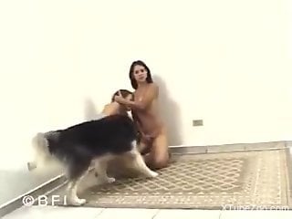 Nude amateurs fucked by the dog in rough modes