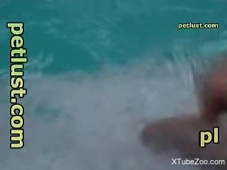 Man jerks off dolphin's cock in insane outdoor cam play