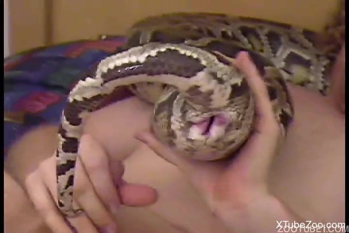 Porn with snake