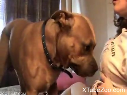 Aggressive doggo going wild in a zoo sex movie