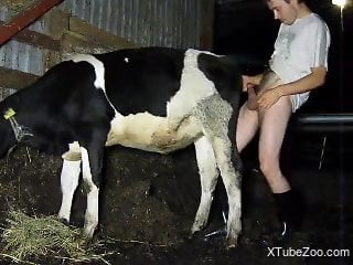 Guy in leather boots banging a sexy cow from behind