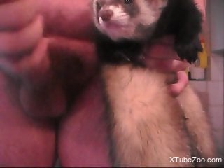 Sexy ferret takes a facial after hardcore fucking