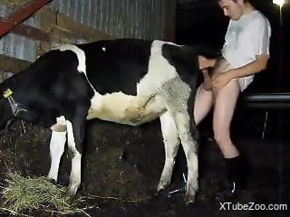Dude using his super-cock to fuck a kinky cow