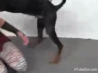 Sexy blonde female shoves whole dog dick in her tiny pussy