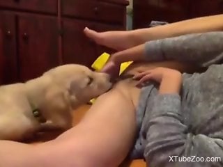 Dog licking pussy of a horny MILF with spread legs