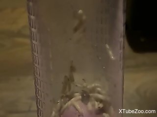 Dude inserts dick in a jar filled with crawling worms