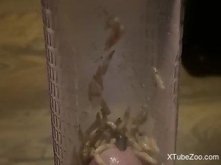 Dude inserts dick in a jar filled with crawling worms