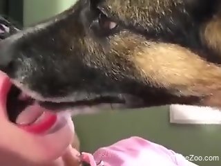 Aroused woman gets intimate with a tasty dog dick in her