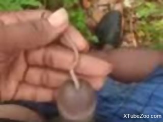 Man jerks off with a big worm crawling in his erect dick