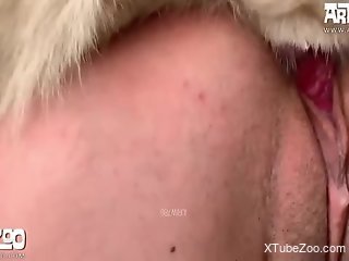 Blonde beauty devours the dog's penis in slutty home scenes