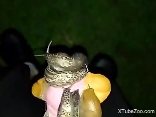 Nude man lets snails crawl on his dick in a hot cam solo